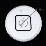 Светильник светодиодный Citilux CL70380RGB Старлайт