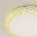 Светильник настенно-потолочный Citilux CL705022 Кристалино