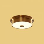 Светильник настенно-потолочный Citilux CL706212 Фостер-2