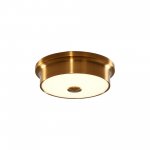 Светильник настенно-потолочный Citilux CL706212 Фостер-2