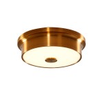 Светильник настенно-потолочный Citilux CL706212 Фостер-2