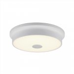 Светильник настенно-потолочный Citilux CL706220 Фостер-2