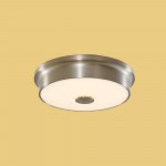 Светильник настенно-потолочный Citilux CL706221 Фостер-2
