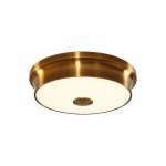 Светильник настенно-потолочный Citilux CL706222 Фостер-2