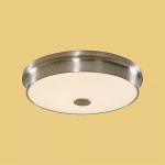 Светильник настенно-потолочный Citilux CL706231 Фостер-2
