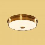 Светильник настенно-потолочный Citilux CL706232 Фостер-2