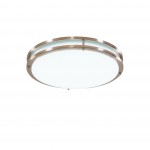 Накладной светильник Citilux CL709251 Бостон никель