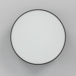 Светильник накладной Citilux CL712122N Тао