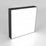 Светильник накладной Citilux CL712X242N Тао