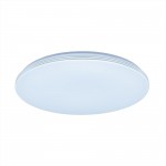 Светильник настенно-потолочный Citilux CL714R48N
