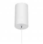 Подвесной светильник Citilux CL719010 Дуэт