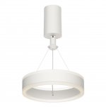 Подвесной светильник Citilux CL719010 Дуэт