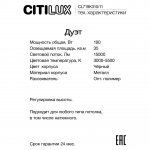 Люстра подвесная Citilux CL719K311 Дуэт