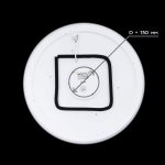 Светильник с пультом Citilux CL72080RC Дюна