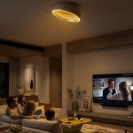 Citilux FLOOM CL736152 Светильник потолочный с пультом Бежевый+Золото