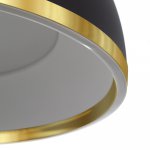 Citilux FLOOM CL736251 Светильник подвесной с пультом Чёрный+Золото