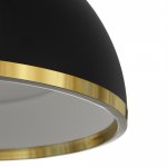 Citilux FLOOM CL736251 Светильник подвесной с пультом Чёрный+Золото