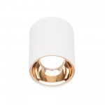 Светильник накладной Citilux CL7440103 Старк