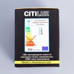 Светильник накладной Citilux CL7440103 Старк