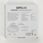 Светильник накладной Citilux CL748180 NORMA