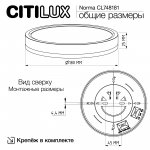 Светильник накладной Citilux CL748181 NORMA