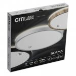 Светильник накладной Citilux CL748240 NORMA