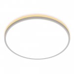 Светильник накладной Citilux CL748500 NORMA