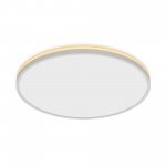 Светильник накладной Citilux CL748500 NORMA