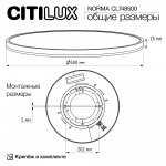 Светильник накладной Citilux CL748500 NORMA