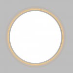 Светильник накладной Citilux CL748500 NORMA