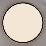 Светильник накладной Citilux CL748501 NORMA