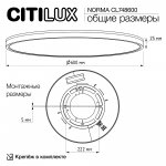 Светильник накладной Citilux CL748600 NORMA