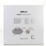 Светильник накладной Citilux CL748600 NORMA