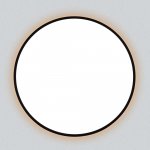 Светильник накладной Citilux CL748601 NORMA