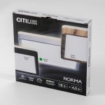 Светильник накладной Citilux CL748K200 NORMA