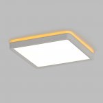 Светильник накладной Citilux CL748K200 NORMA