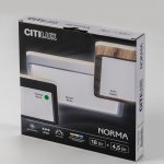 Светильник накладной Citilux CL748K201 NORMA