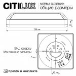 Светильник накладной Citilux CL748K201 NORMA