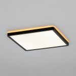 Светильник накладной Citilux CL748K301 NORMA