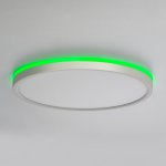 Светильник накладной Citilux CL749320 NORMA