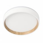 Светильник накладной Citilux CL750180 ETALON