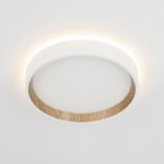 Светильник накладной Citilux CL750180 ETALON