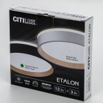 Светильник накладной Citilux CL750181 ETALON