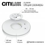 Светильник накладной Citilux CL750181 ETALON