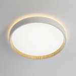 Светильник накладной Citilux CL750240 ETALON