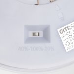 Светильник накладной Citilux CL750240 ETALON