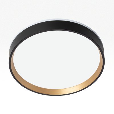 Светильник накладной Citilux CL750241 ETALON