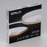 Светильник накладной Citilux CL750241 ETALON