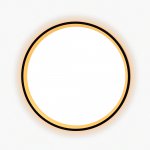 Светильник накладной Citilux CL750241 ETALON