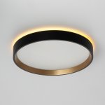 Светильник накладной Citilux CL750241 ETALON